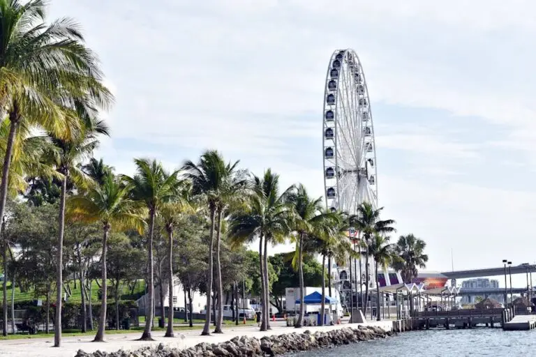 Miami Beach devine destinația wellness pentru 2026