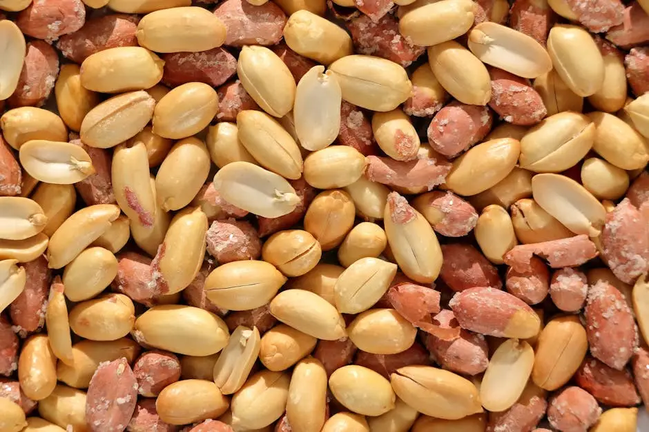 Proteine vegetale: ghidul complet pentru vegetarieni — Photo: Mustafa Akın (Pexels)