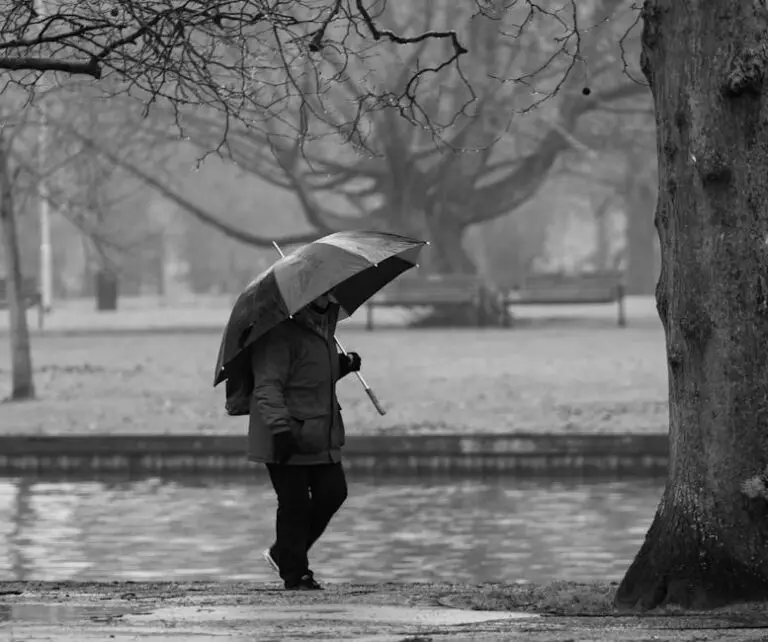 Vreme capricioasă în weekend: ploi, ninsori și schimbări bruște de temperatură