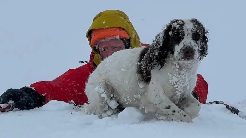 Alpinist salvează un căței pierdut în munții Scoției - Eroul Zilei