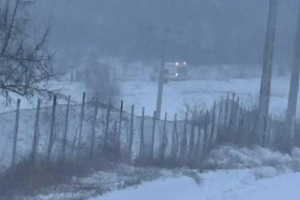 Când nașterea acasă devine singura opțiune - Corp sănătos