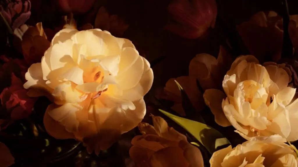 Cum ne vindecă și ne eliberează speranța autentică - Familie fericită