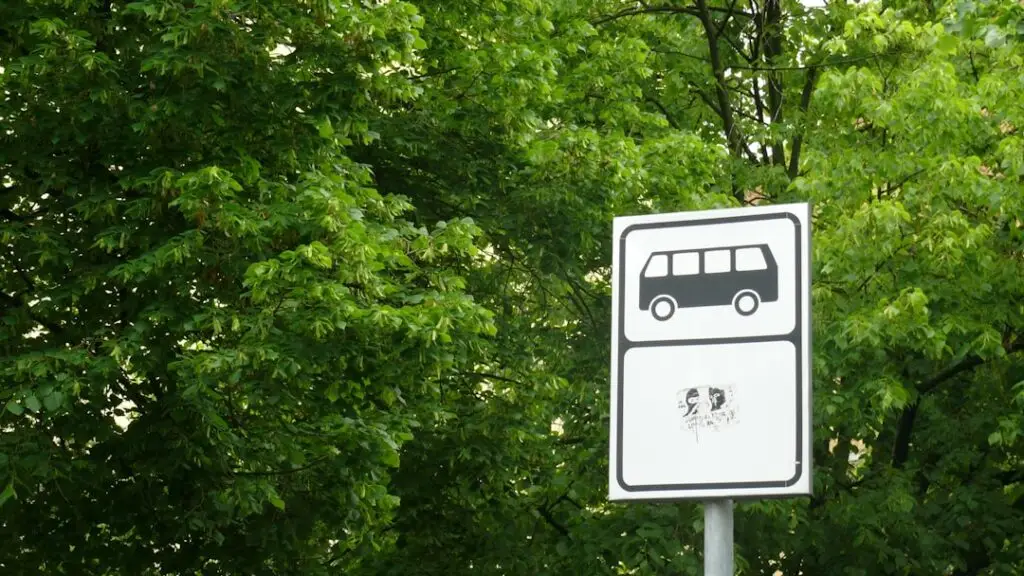 Siguranța mașinilor electrice: ce trebuie să știm - Timp liber (Photo: Unsplash)