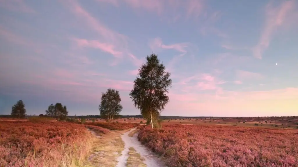 Trei grade mai prietenoasă: cum te transformă mici schimbări - Familie fericită