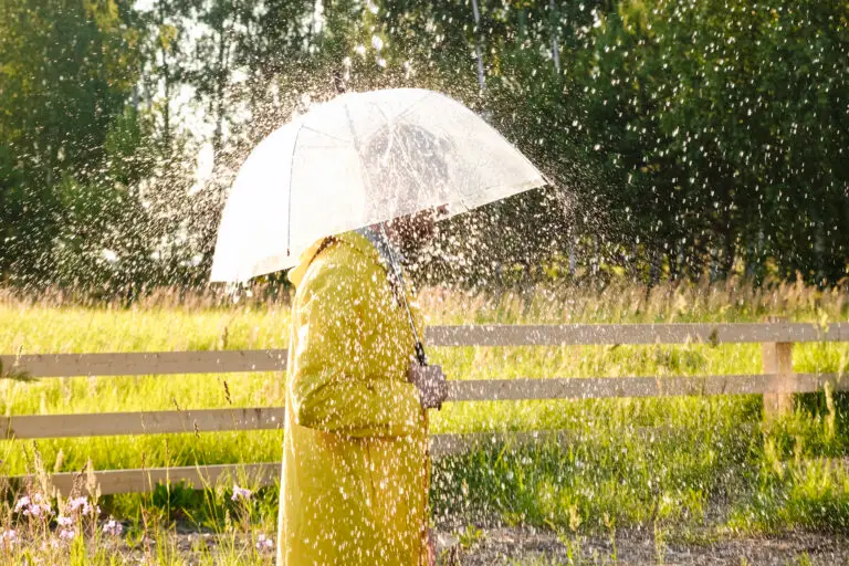 Sunetul ploii: O oră de liniște perfectă pentru somn profund