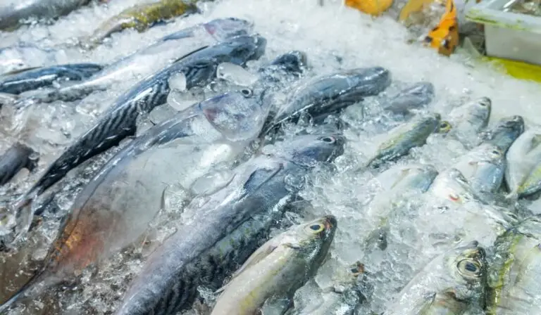Alimente bogate în proteine pentru post, alternative la pește