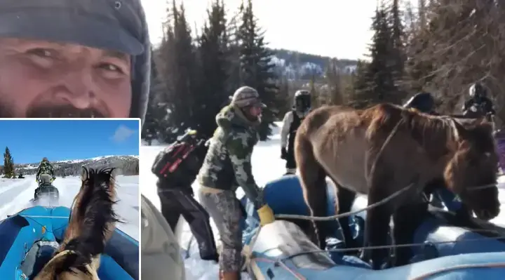 Calul Mouse a supraviețuit șase luni în munții din Wyoming și a fost salvat cu o barcă gonflabilă