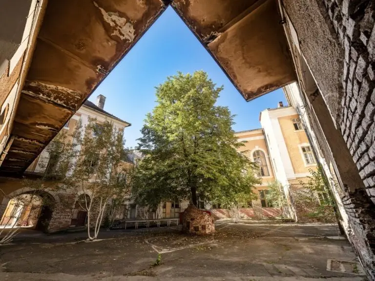 Să faci rai: cum o clădire veche din Sibiu renaște prin artă