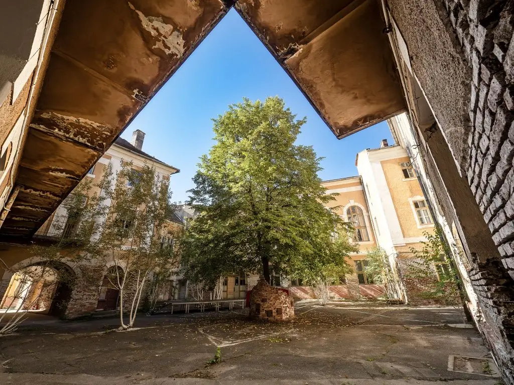 Să faci rai: cum o clădire veche din Sibiu renaște prin artă - Timp liber