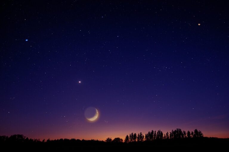 Venus intră în Berbec pe 5 martie 2026: horoscop zilnic