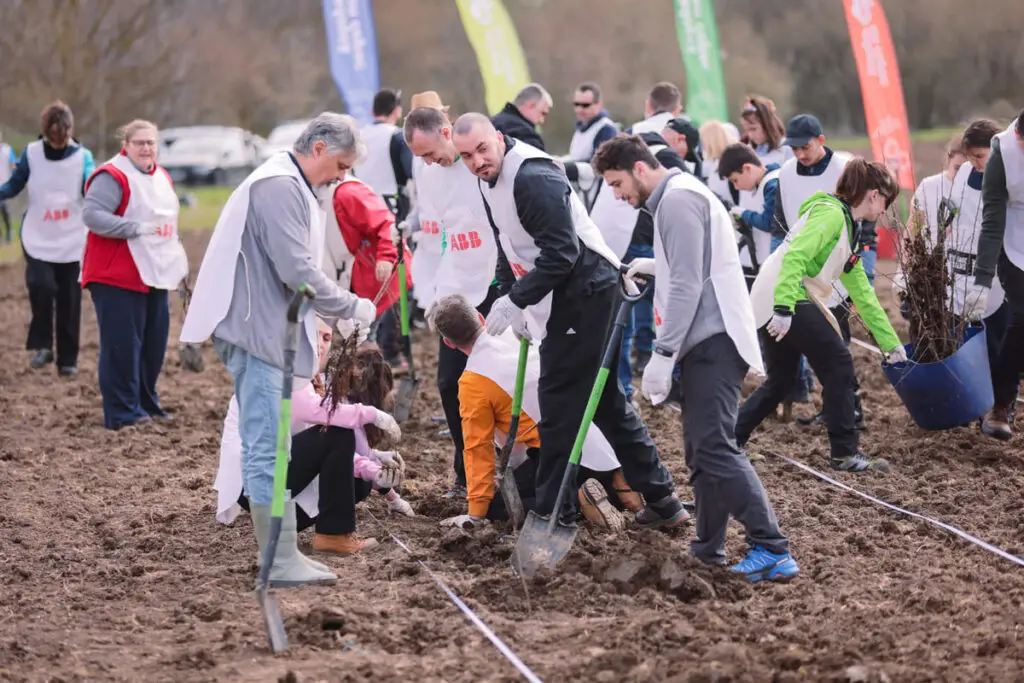 Angajații ABB România au plantat peste 300 de copaci în Giurgiu, cu mâinile și cu inima