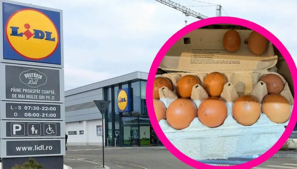 Cât costă un ou la Lidl înainte de Paște 2026 - Corp sănătos