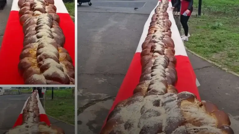 Cozonac uriaș și storceag gigant la Parcul IOR de Florii