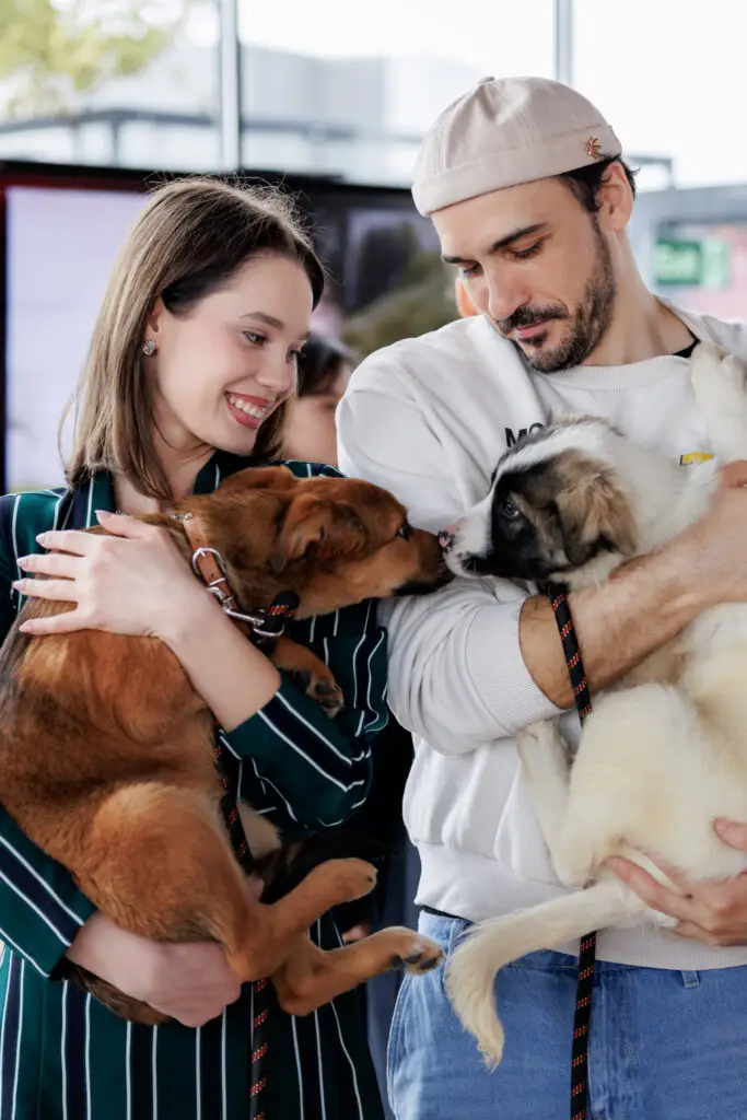 Cum poți ajuta câinii fără stăpân: lecții de la evenimentul Denisia Mariș × ASPA - Corp sănătos
