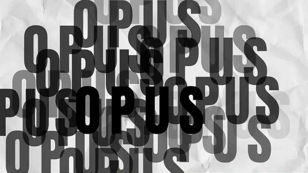 Opus Noisy aduce concerte de clasică și jazz în București - Timp liber