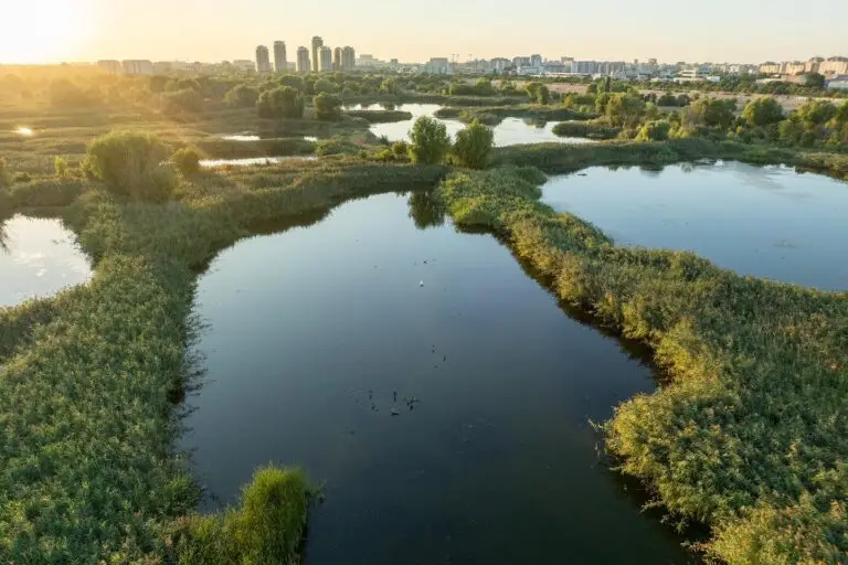 Parcurile din București în aprilie: unde să te plimbi