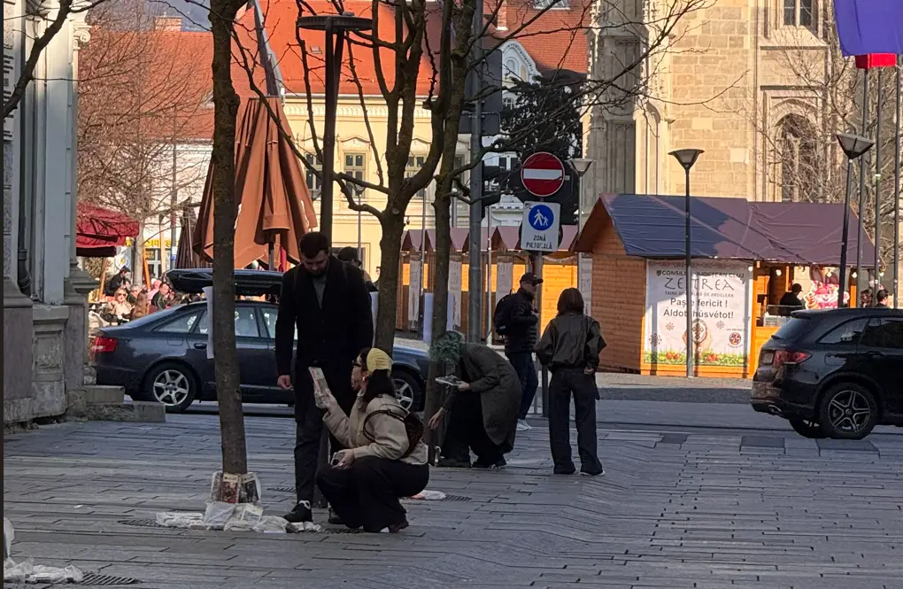 Peste 800 de cărți au crescut printre copaci la Cluj - Corp sănătos