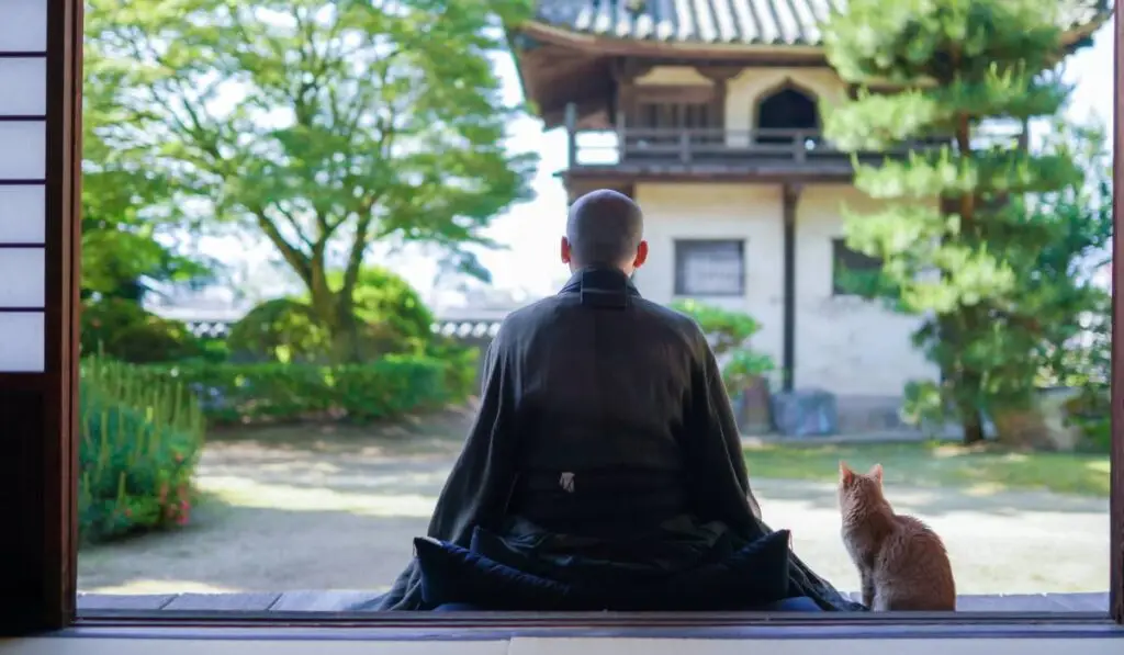 Shikata ga nai: filosofia japoneză care te eliberează de stres - Corp sănătos