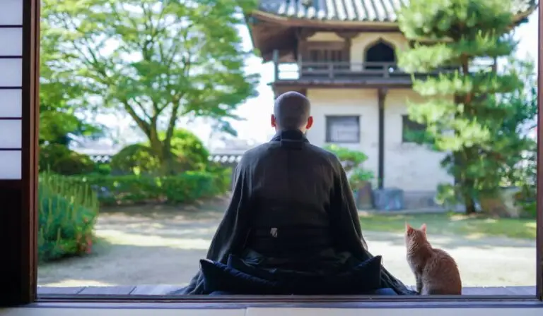 Shikata ga nai: filosofia japoneză care te eliberează de stres
