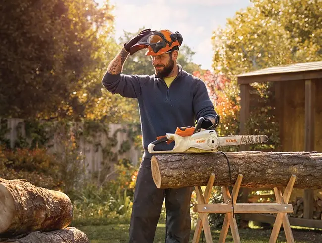 STIHL, 100 de ani în care inovația a prins rădăcini - Casă aranjată