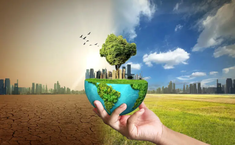 Ziua Pământului 2026: gesturi simple pentru o planetă sănătoasă