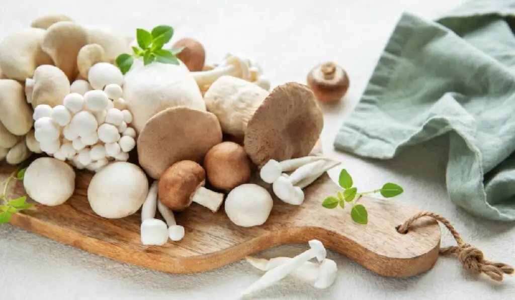 Ciupercile bogate în vitamina D și trucul simplu care le face mai nutritive - Corp sănătos
