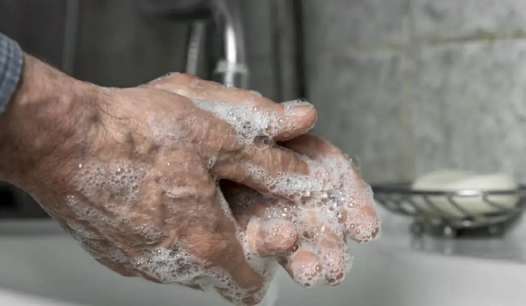 Gestul de 20 de secunde care te protejează de boli - Corp sănătos