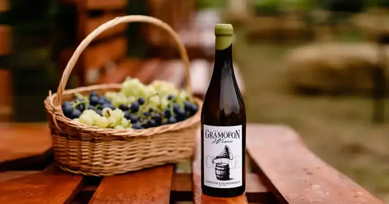 Gramofon Wine – escapadă cu vin, artă și muzică în Dealu Mare