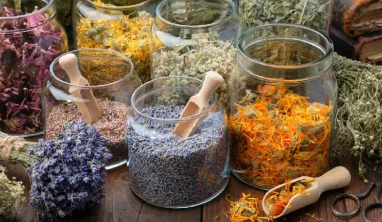 Plantele care înfloresc în mai și secretele lor de sănătate