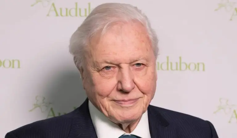Secretul longevității lui David Attenborough la 100 de ani