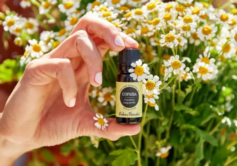 Uleiul de copaiba: remediul natural pentru răni și dureri