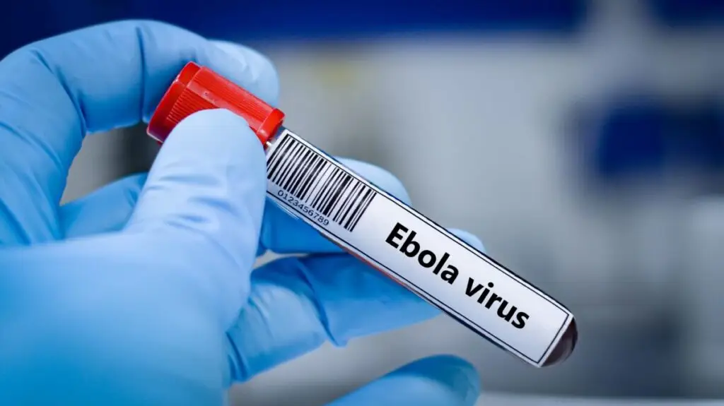Vaccin nou împotriva Ebola, testat în curând la Oxford - Corp sănătos