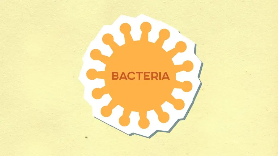 Bacteria Vibrio, pericolul ascuns al apelor de coastă: ce trebuie să știi înainte de vacanța la mare — Photo: Monstera Production (Pexels)