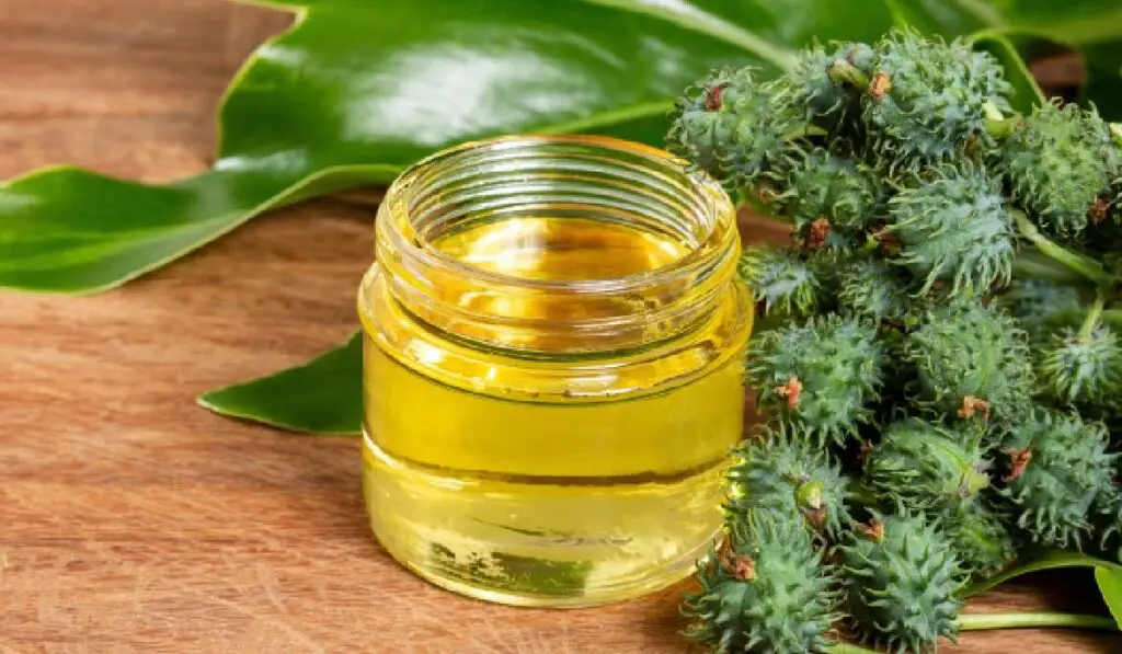 Armurariul — planta care îți protejează ficatul natural - Corp sănătos