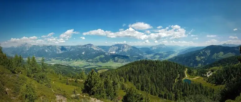 Copiii din România strălucesc la prima ediție ENJOY AI
