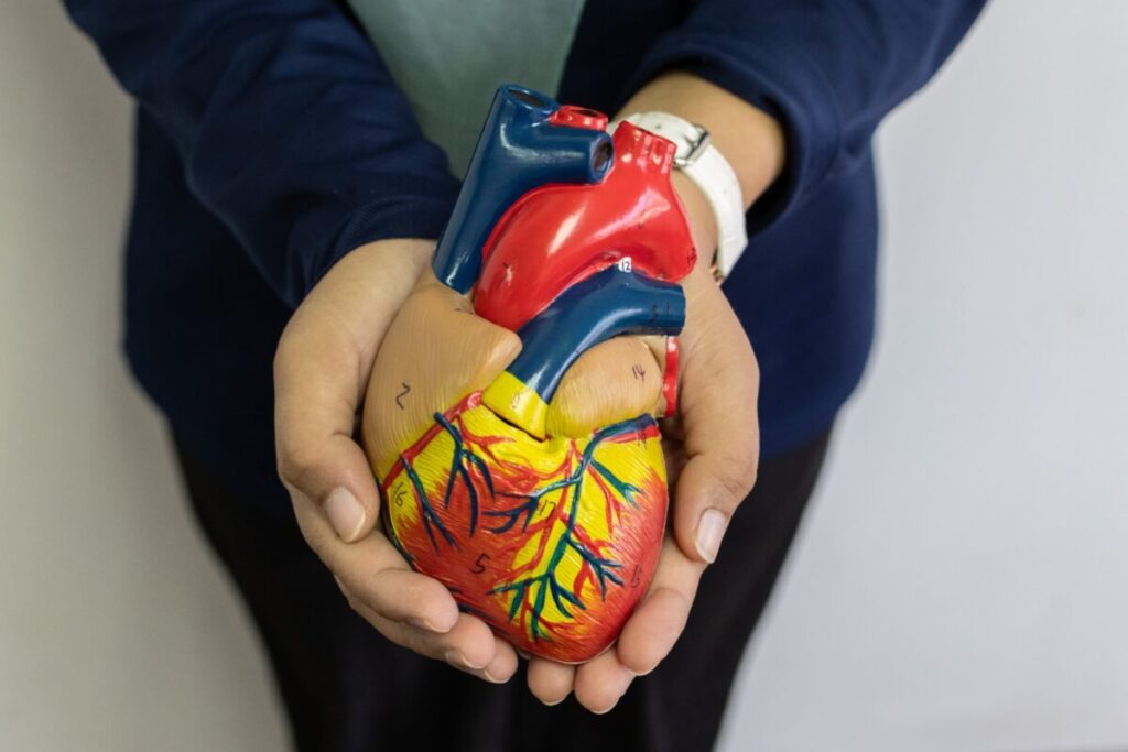 Cum îți protejezi inima: semnale de alarmă cardiovasculare - Corp sănătos
