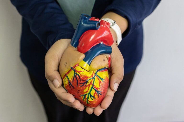 Cum îți protejezi inima: semnale de alarmă cardiovasculare