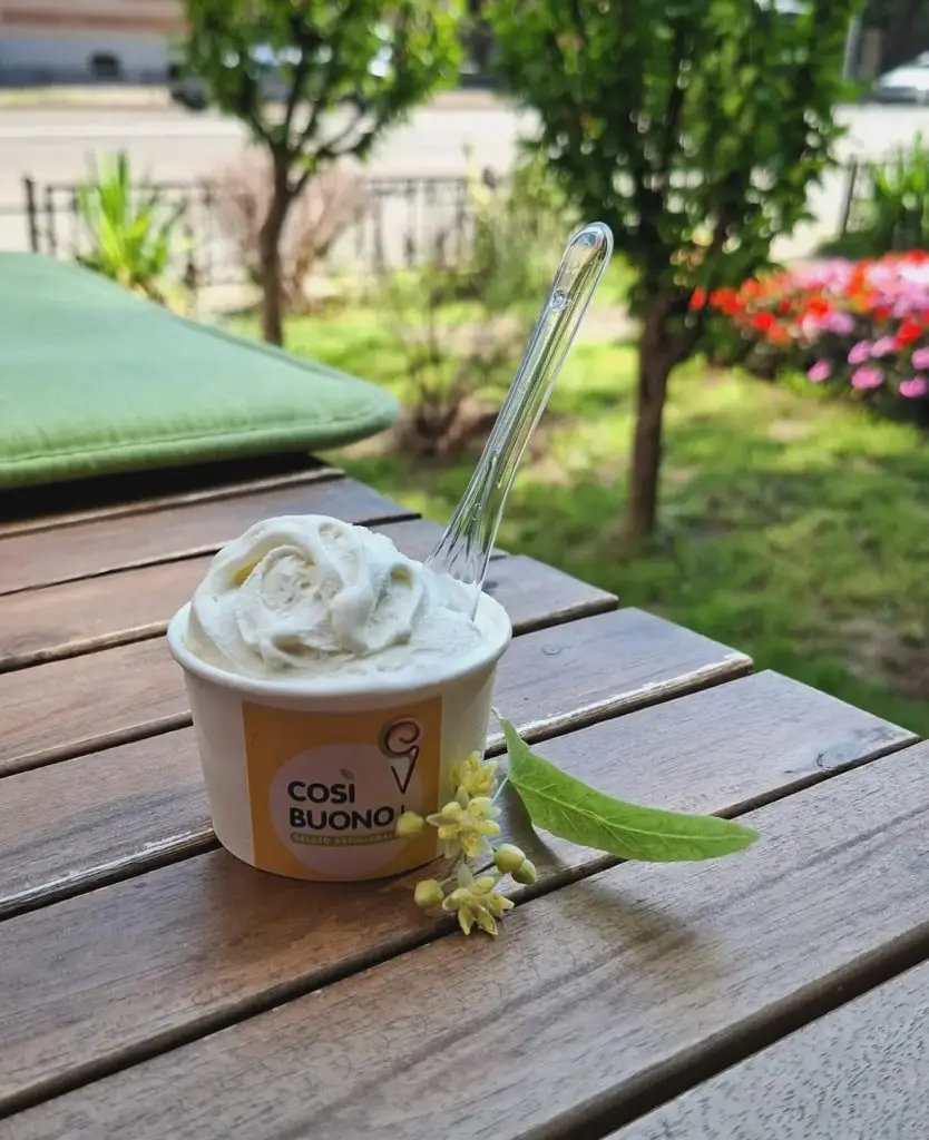 Înghețată cu flori de tei la Iași: gelato artizanal inspirat de parfumul orașului - Corp sănătos
