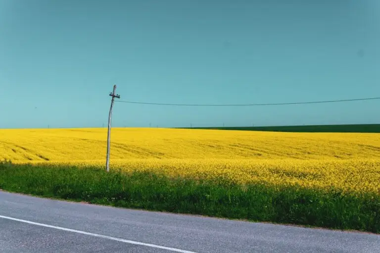 Vremea în România – Luni, 1 iunie 2026