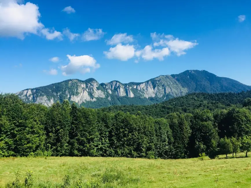 Vremea în România – Cer senin