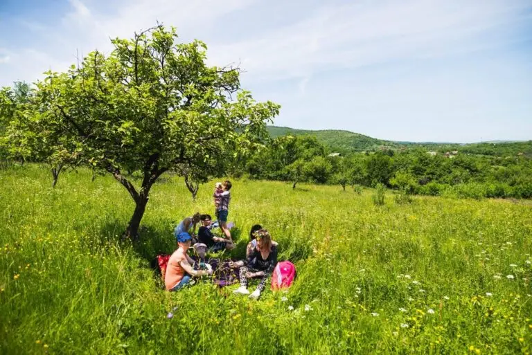Drumeție și gastronomie: rețeta perfectă de relaxare în natură