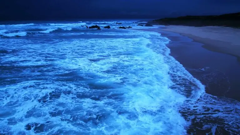 Adormi lângă ocean: 11 ore de valuri liniștitoare