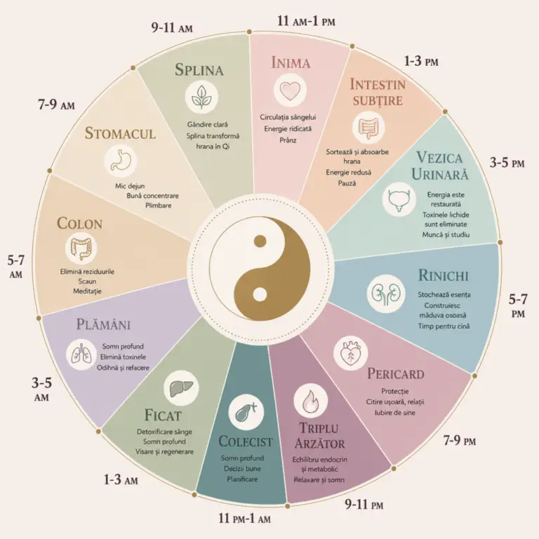 Micul dejun cald, secretul energiei potrivit medicinei chineze