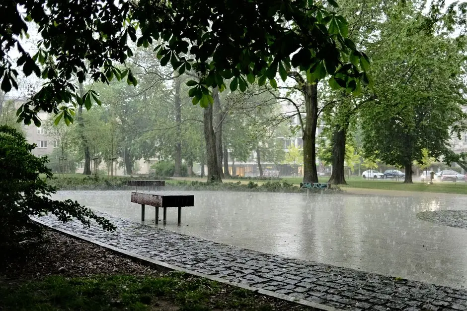 Vremea în România – Cer senin