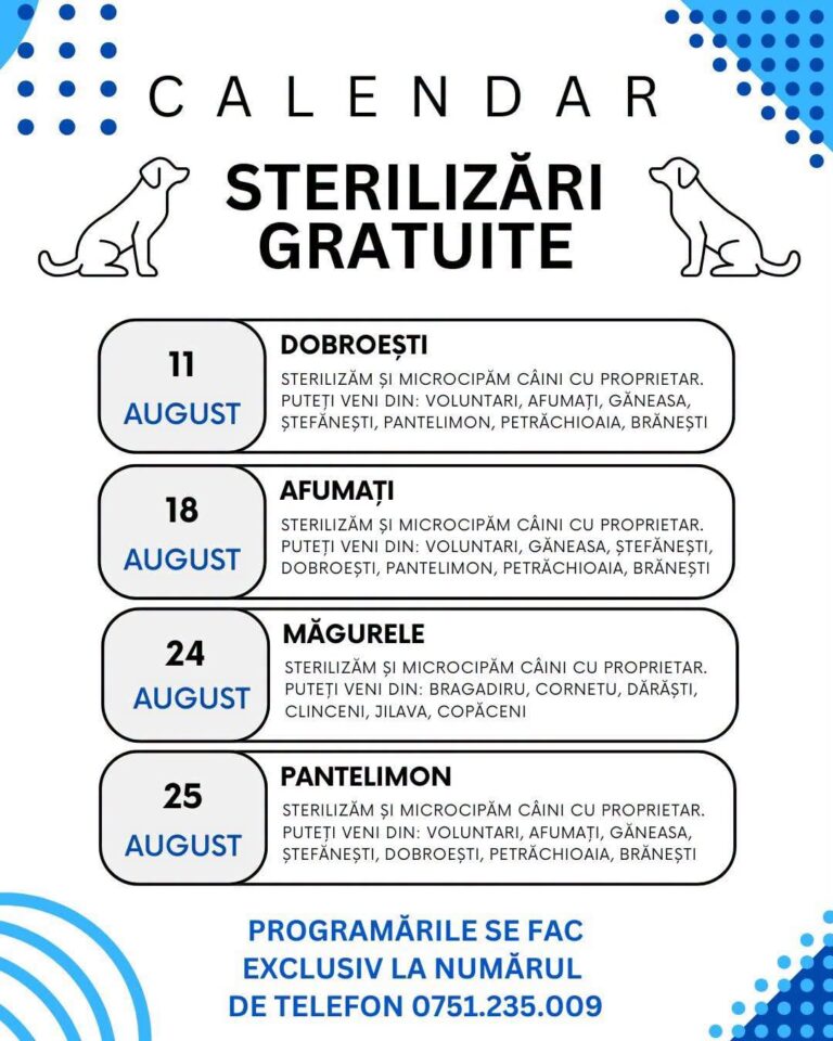 Un gest care poate preveni abandonul. Sterilizări și microcipări gratuite pentru câinii din Ilfov