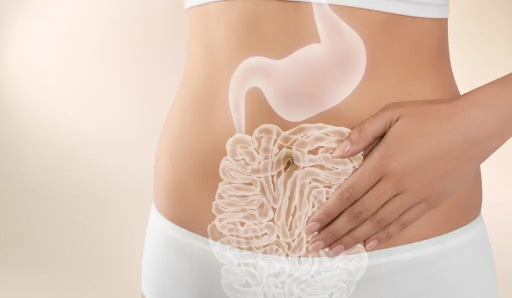 8 obiceiuri zilnice care îți pot afecta intestinul - Corp sănătos