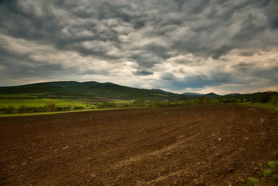 Ploaia care vindecă: o oră de liniște pentru suflet — Photo: Anton Atanasov (Pexels)