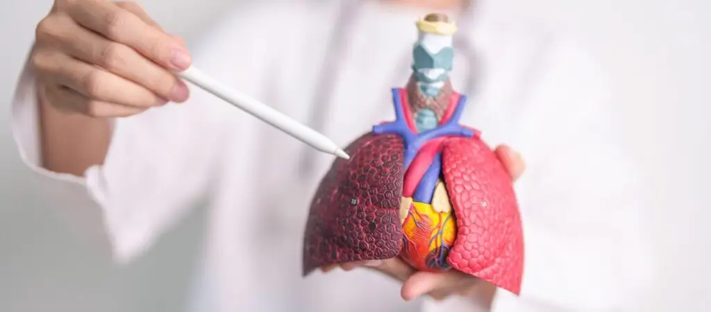 Cancerul pulmonar: riscuri ignorate de nefumători - Corp sănătos