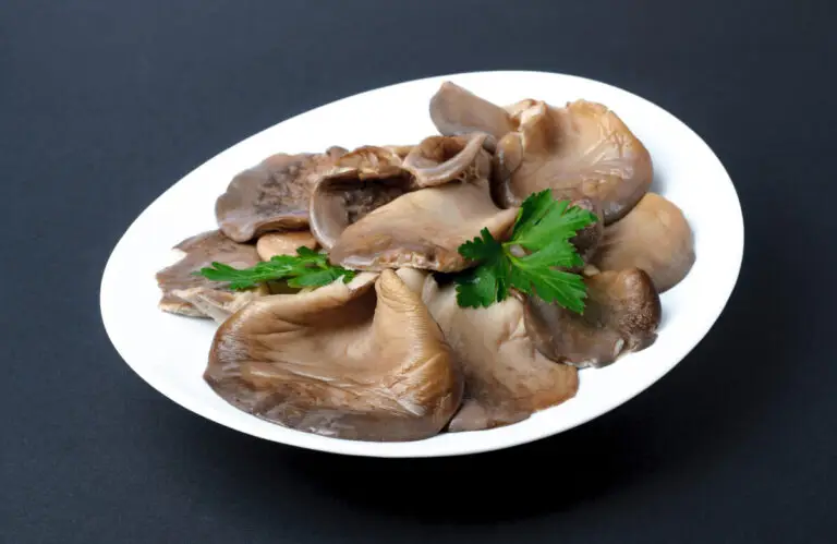 Ciuperci pleurotus murate pentru iarnă, rețetă simplă