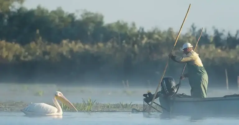 „Delta Sălbatică”, filmul care ne cheamă să salvăm apele Deltei